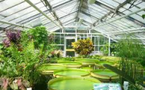 Накрытия, мостики  и павильоны для водоёмов