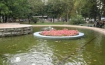 Водоём-клумба