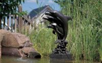 «Дельфины»