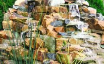 Украшения водоёма