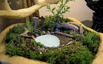 miniature-garden_08-455x341
